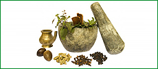 Ayurveda Treatments