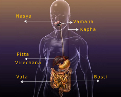 Ancient Vedic Knowledge