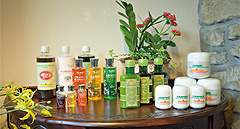 Auirvedic Products
