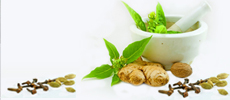 Ayurveda Treatments