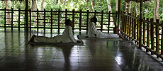 Yoga Ayurveda Retreats