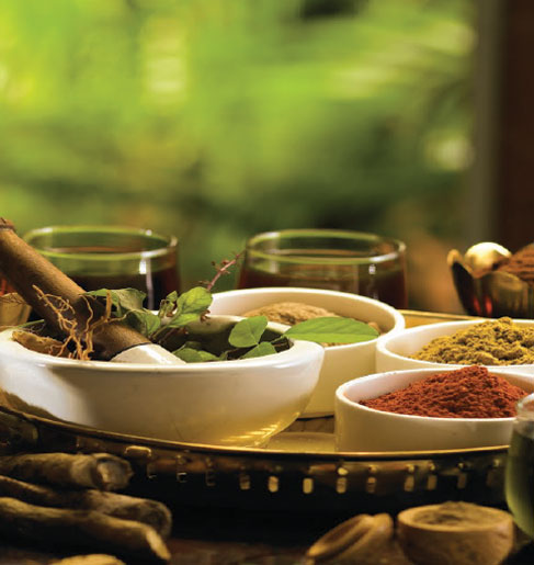 Discover Ayurveda in India