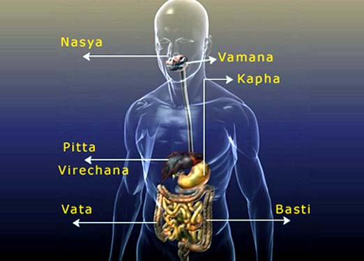 Emotional Ayurveda