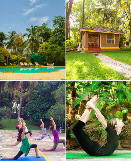 Kairali Environment and Yoga